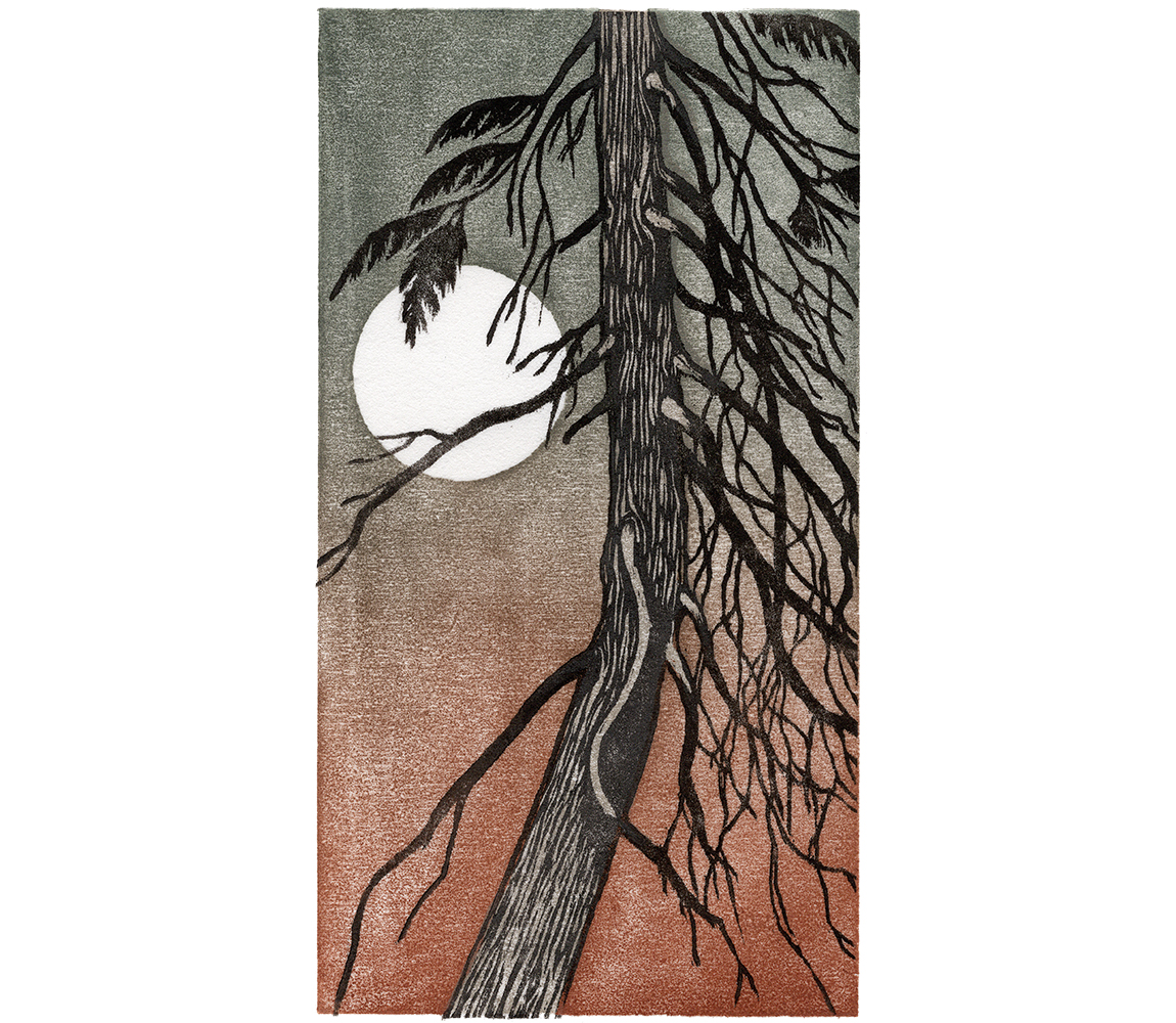 “Night Sky” - Kristen Etmund